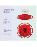 32oz First Nature Hummingbird Feeder
