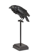 Lg Crow on Perch-Blk-18"H