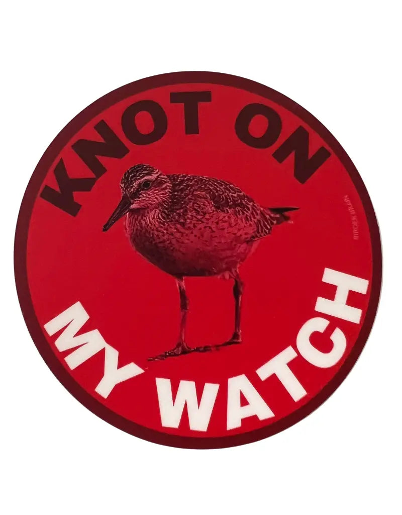 3" Super Matte Vinyl Stickers (A)