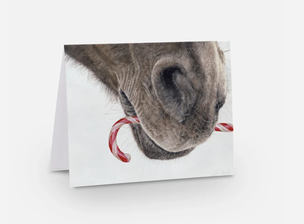 Premium Greeting Cards by Crystal Clark Animal Art