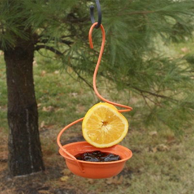 Metal Oriole Feeder*