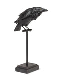 Lg Crow on Perch-Blk-18"H