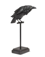 Lg Crow on Perch-Blk-18"H