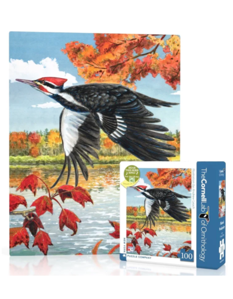 New York Puzzle Company Mini 100pc