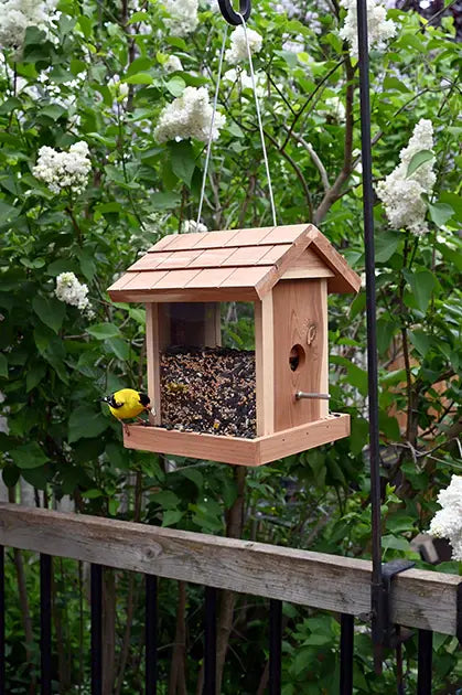 Cedar Bin Feeder