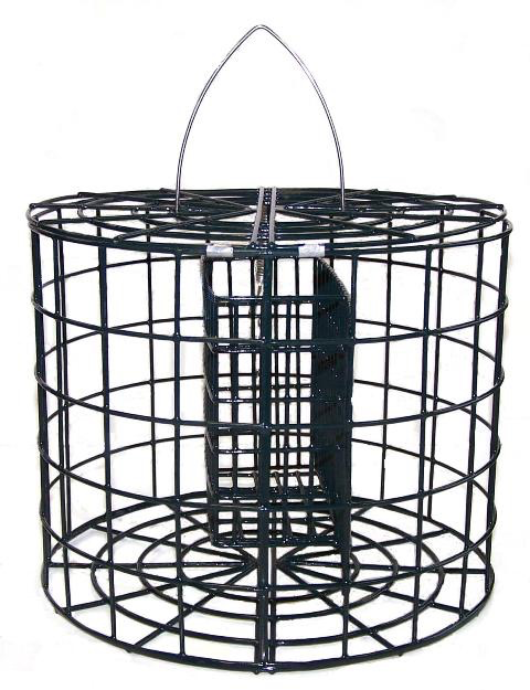 Caged Suet Fdr