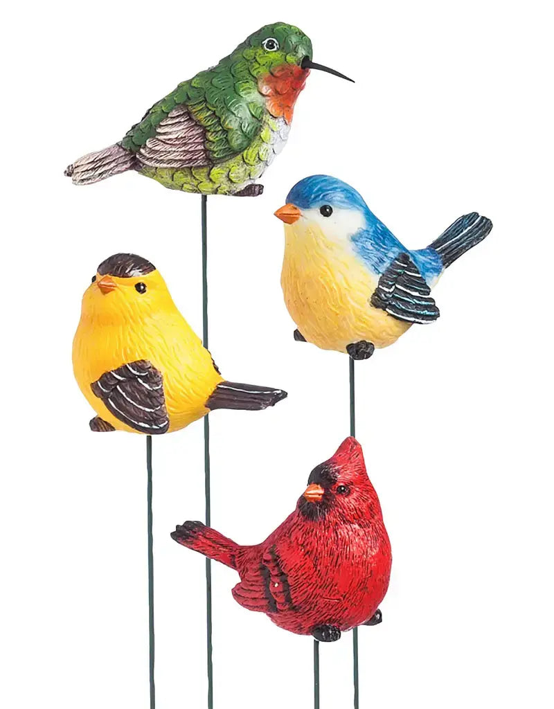 For the Birds, Plant Pick, 12 piece CDU, 4 asst