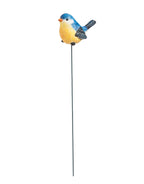 For the Birds, Plant Pick, 12 piece CDU, 4 asst