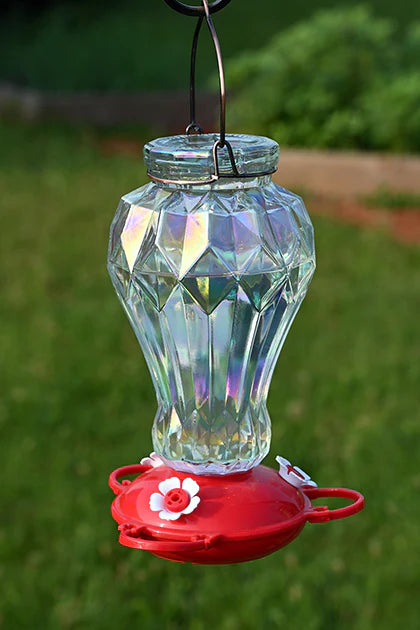 Iridescent Hummingbird Feeder