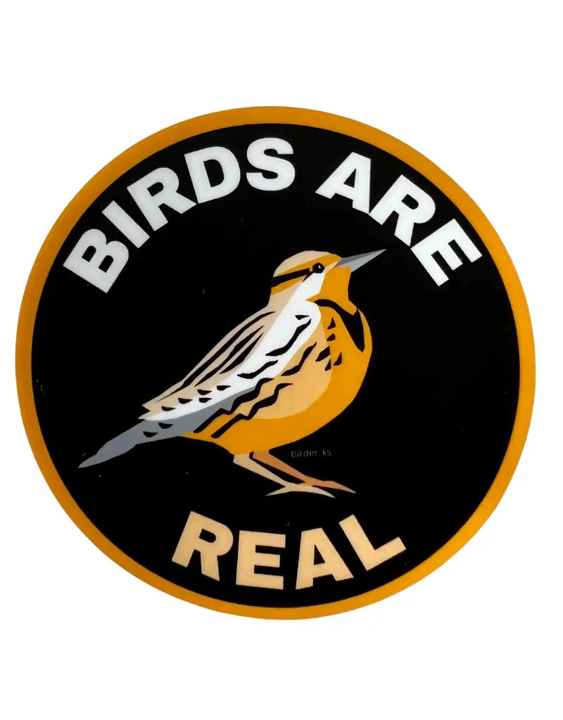 3" Super Matte Vinyl Stickers (B)