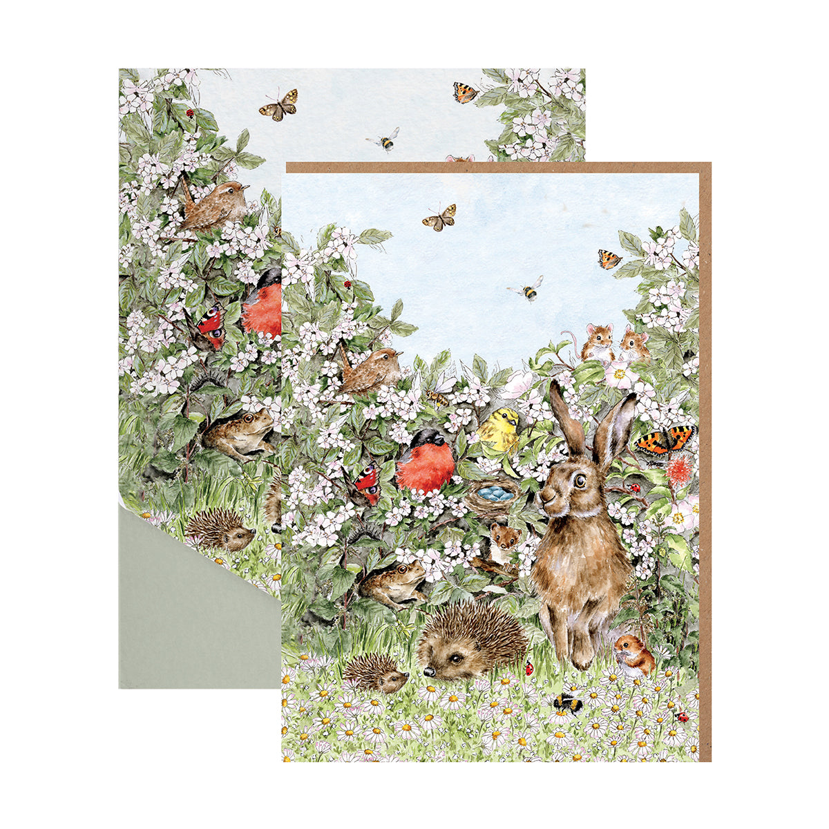 Nature Note Card Pack (8 blank notecards & envelopes)