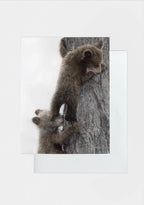 Premium Greeting Cards by Crystal Clark Animal Art