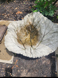RHUBARB BIRDBATH CEMENT XL