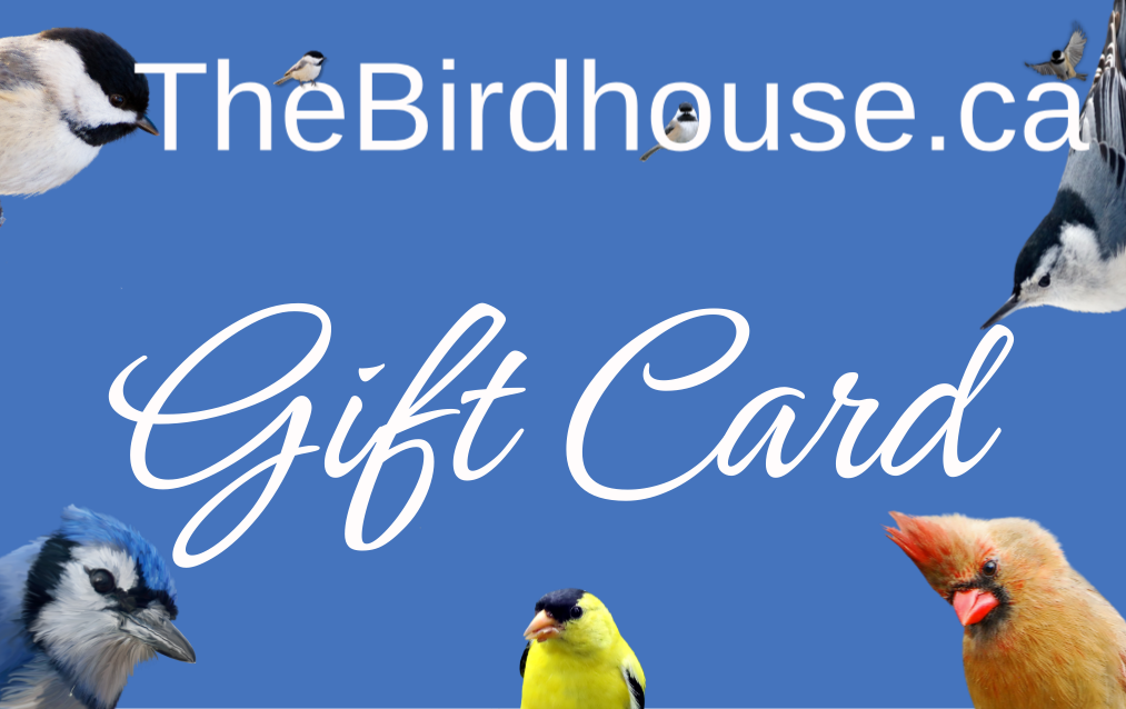 The Birdhouse Gift Card