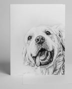 Premium Greeting Cards by Crystal Clark Animal Art