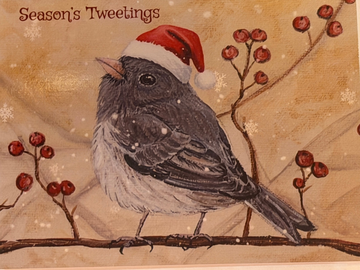 Alicia Galambos Asst Christmas Note Cards