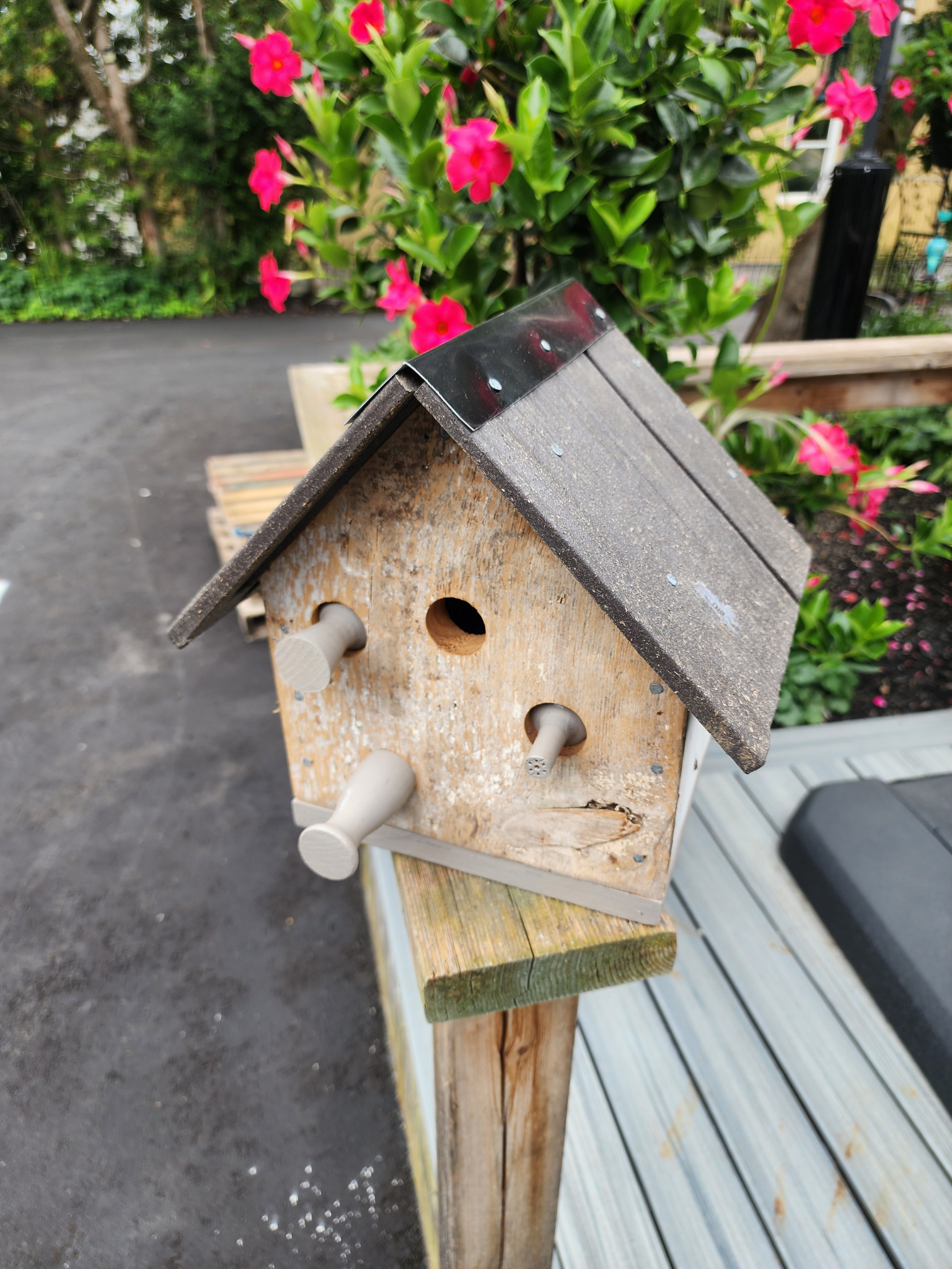 Jean Long 1.5" hole birdhouse with spindles JL 2157-1243