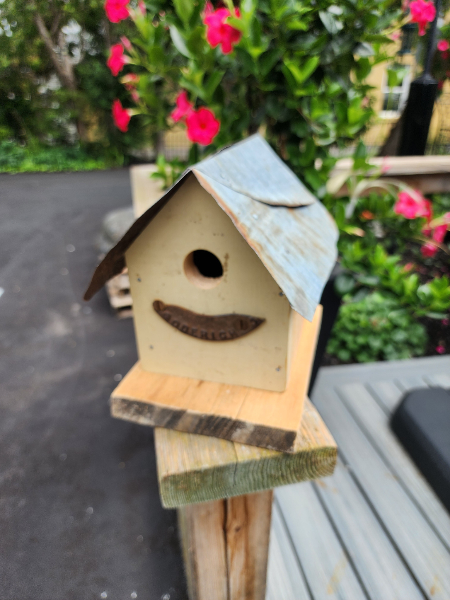 Jean Long 1.5" hole TinRoof Goderich Birdhouse JL2248-1333