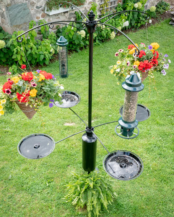 Brome Raccoon Buster Tray Kit