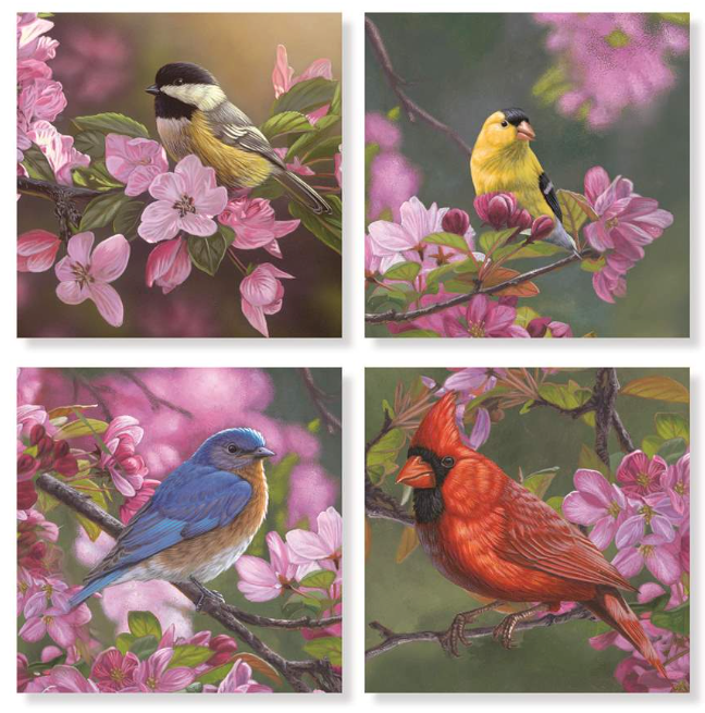 Coaster 4" Mixed Bird Pink Set of 4
