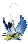 Open Winged Garden Blue Jay