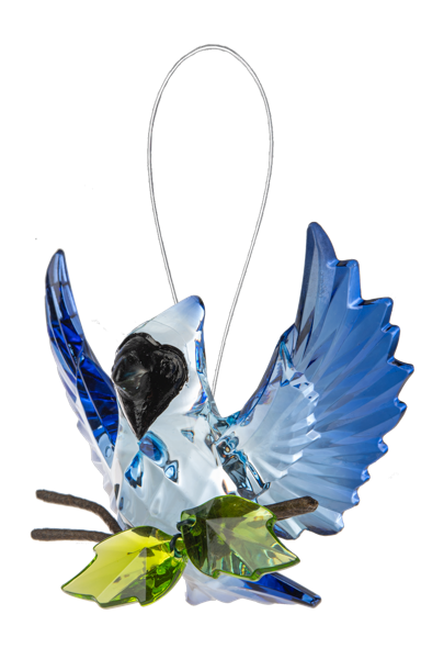 Open Winged Garden Blue Jay