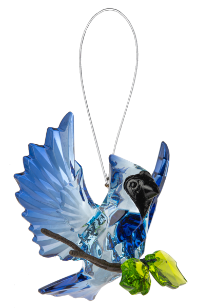 Open Winged Garden Blue Jay