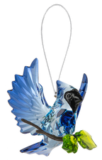 Open Winged Garden Blue Jay