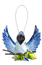 Open Winged Garden Blue Jay