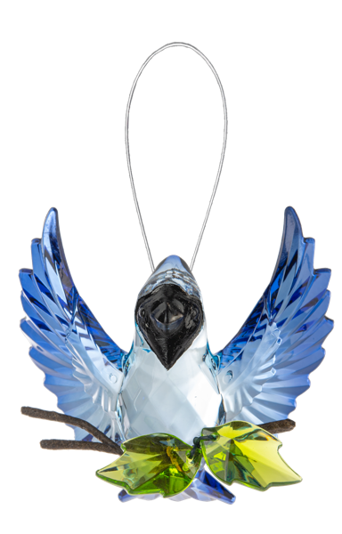 Open Winged Garden Blue Jay