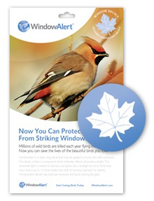 Window Alert Stickers