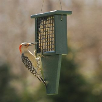 Recycled Suet w/Tail Prop