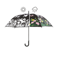 Colour Changing Umbrella-BIRDS