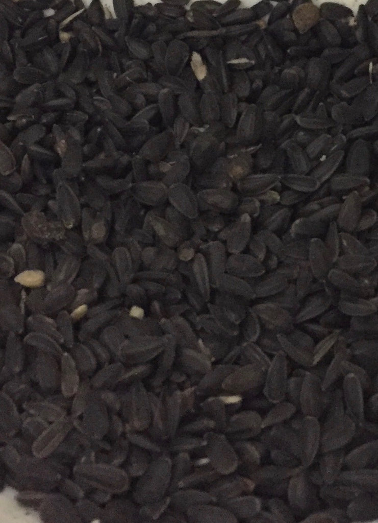 Millcreek Premium Black Oil