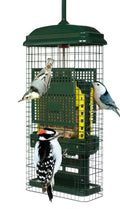 Squirrel Buster Suet Feeder