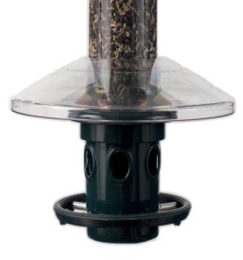 SQB1026 Squrirrel Buster Plus Weather Dome – The Birdhouse Nature Store