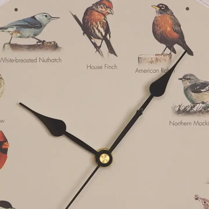 25th Anniversary Audobon Society Original Singing Bird Clock, 13", Cherry