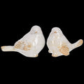 Assorted individual Painted Scroll Wing Bird