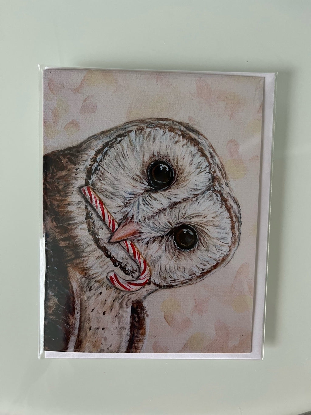 Alicia Galambos Asst Christmas Note Cards