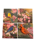 Coaster 4" Mixed Bird (4 assort each)