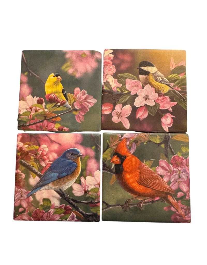 Coaster 4" Mixed Bird (4 assort each)