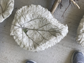 MED RHUBARB LEAF BIRDBATH