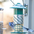 Peanut/Suet/Mealworm Feeder