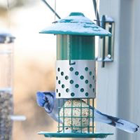 Peanut/Suet/Mealworm Feeder