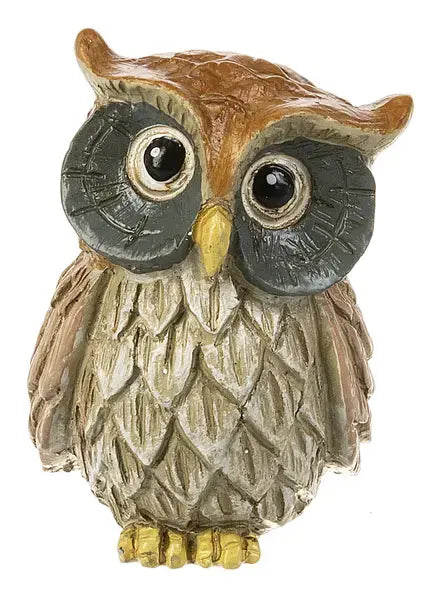 Wise Pocket Owl