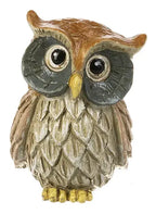 Wise Pocket Owl