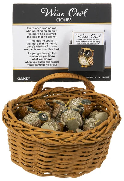 Wise Pocket Owl
