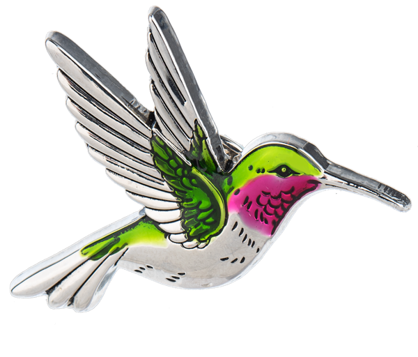 Good Luck Hummingbird Pin