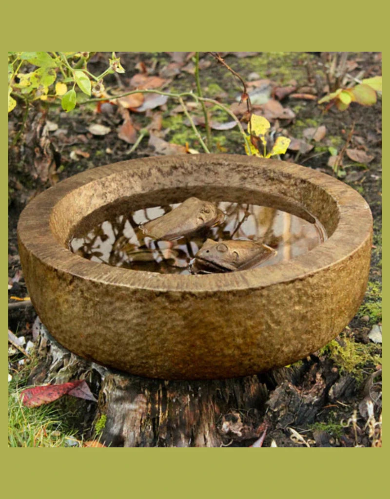 Frog Bowl Birdbath