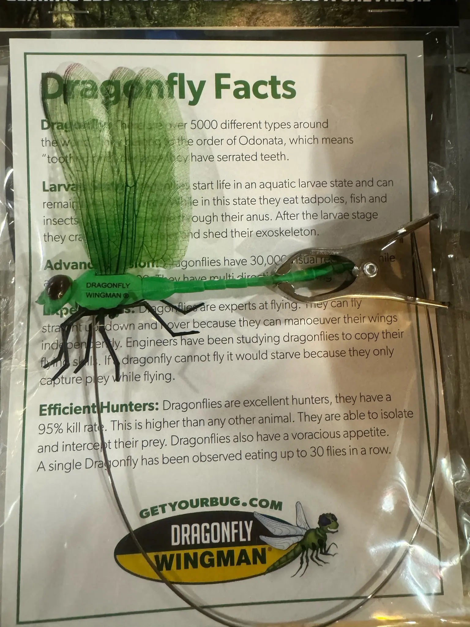 Dragonfly Wingman - deters horse & deer flies